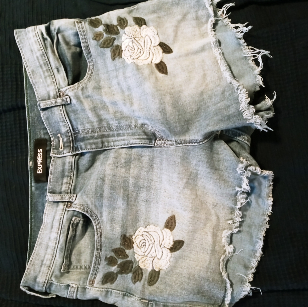 Express 14 shorts